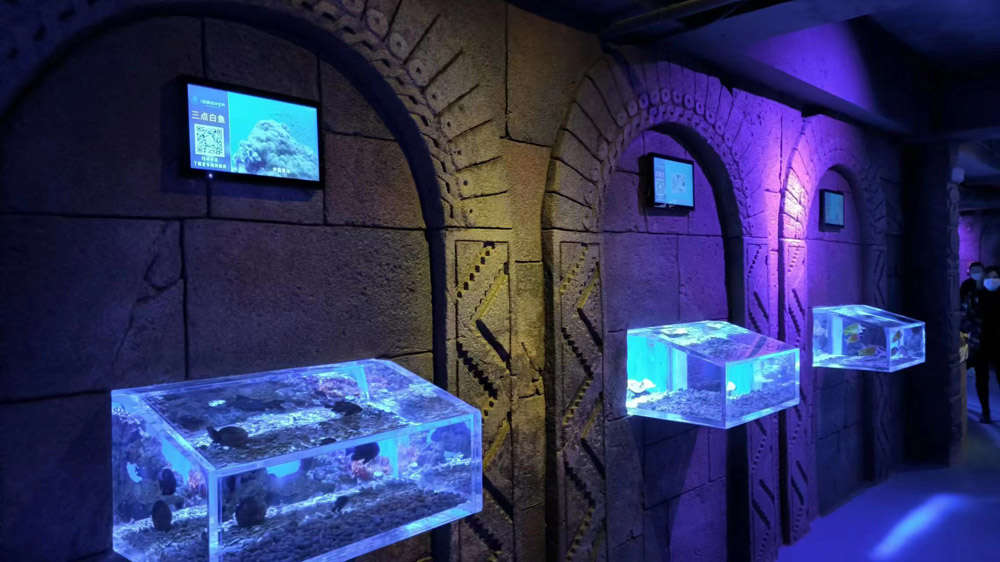 壁掛式液晶廣告機在海洋生物展覽展館的應用